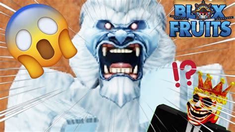 TRYING TO FIGHT THE YETI IN BLOX FRUITS! - YouTube