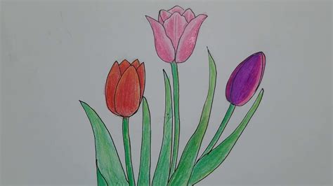 CÁCH VẼ HOA TULIP ĐƠN GIẢN - HOW TO DRAW TULIP FLOWER STEP BY STEP ...