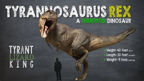 Tyrannosaurus Rex Facts! A Dinosaur Facts video about Tyrannosaurs Rex ...