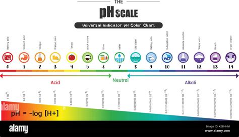 The pH scale Universal Indicator pH Color Chart diagram acidic alkaline ...