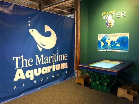 Maritime Aquarium Invites Scouts To Learn About the Environment ...