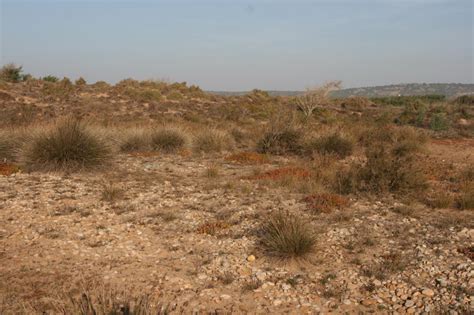 Gobotree - image from Morocco desert during autumn day