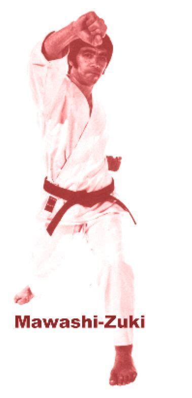 Pin by T Vanthienen on karate | Karate martial arts, Shotokan karate ...