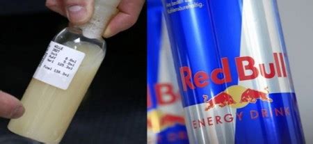 Woman Becomes Pregnant By Drinking Red Bull