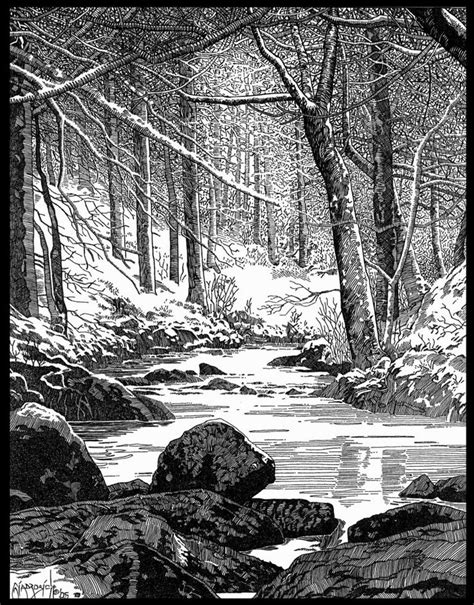 Winter in Sherwood Forest by Bob Giadrosich [©2006] | Landscape ...