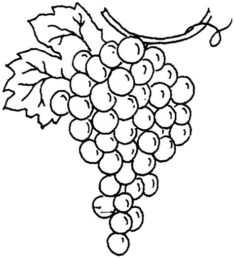 GRAPE DRAWING - ClipArt Best