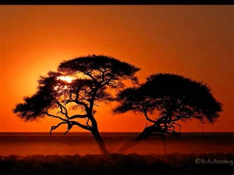 Enya - Storms In Africa Chords - Chordify