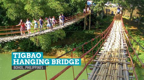 Crossing the Tigbao Hanging Bridge, Bohol | The Poor Traveler Itinerary ...