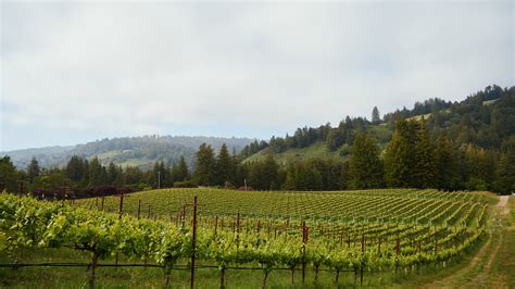 Savoring a California Wine Country Far From Napa and the Crowds - The ...