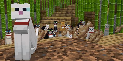 Minecraft: How to Tame a Cat