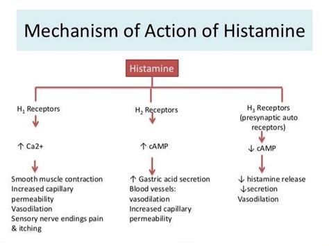 Histamine