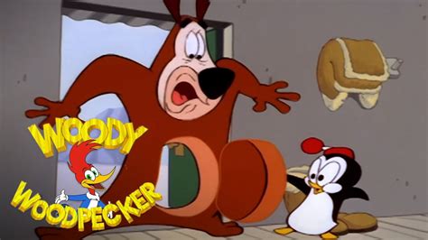 Chilly Willy vs Smedley | Woody Woodpecker - YouTube