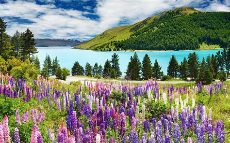 Spring | Spring landscape, Landscape wallpaper, Lake tekapo