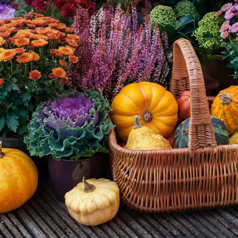 Autumn's Backyard Garden: Tips And Tricks – The Urban Decor