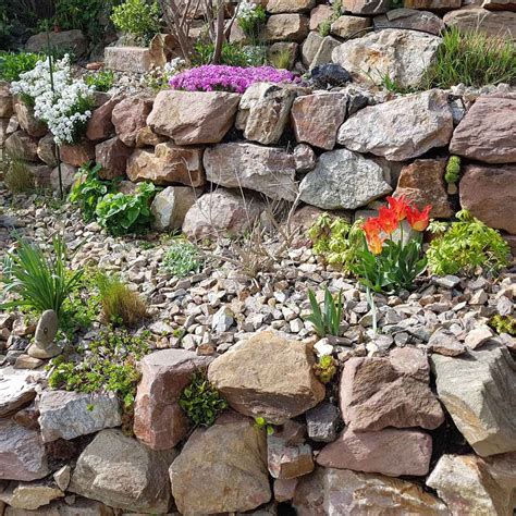 10 Best Plants for Rock Gardens | The Family Handyman