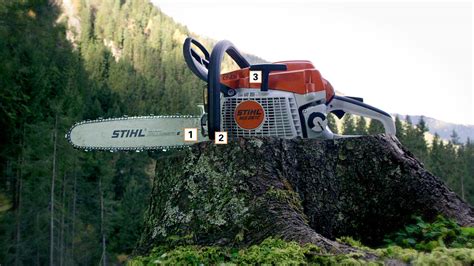 Stihl Ms 260 Pro Parts Diagram - Wiring Diagram