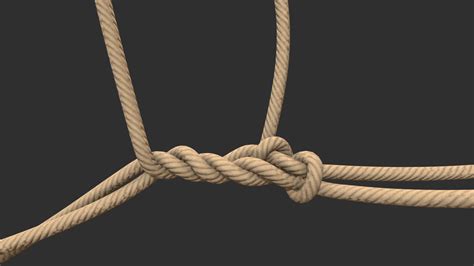 Knot 3D Model Free Download