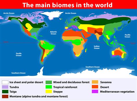 World Biomes - KidsPressMagazine.com