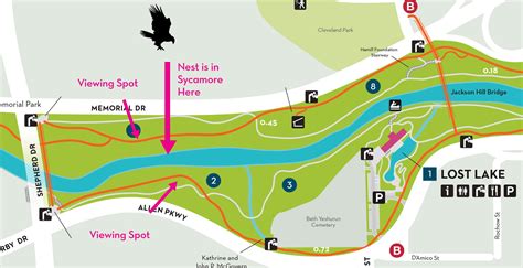 How to Find the Red Shouldered Hawk Nest – Buffalo Bayou Partnership