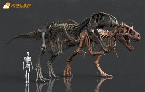 Vitamin Imagination - Giganotosaurus & Tyrannosaurus skeleton by ...