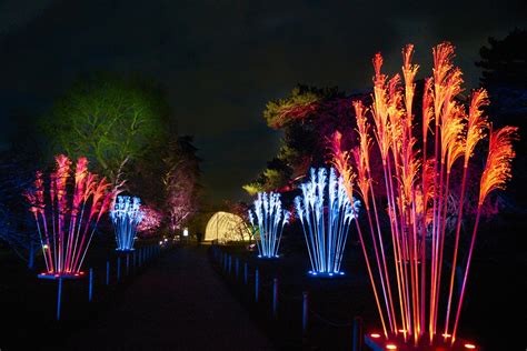 Christmas at Kew — The Royal Botanical Gardens Turned Into A Glittering ...