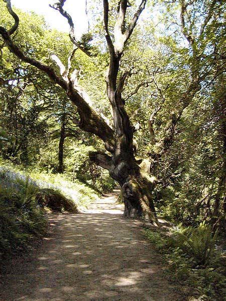 The Lost Gardens of Heligan: Rediscovering a Centuries-Old Paradise ...