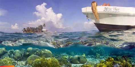 The Belize Barrier Reef Reserve System on Ambergris Caye, Caribbean Diving