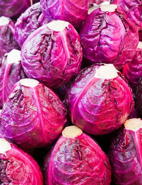 Red Cabbage Health Benefits - Healthier Steps