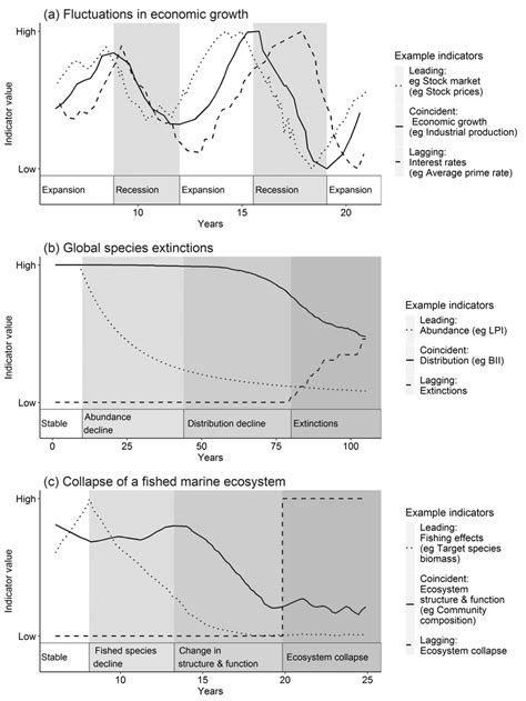 Examples of how indicators of different functions might change over ...