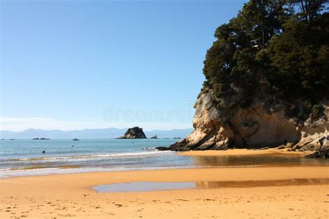 New Zealand: Summer Christmas at Beach Stock Image - Image of christmas ...