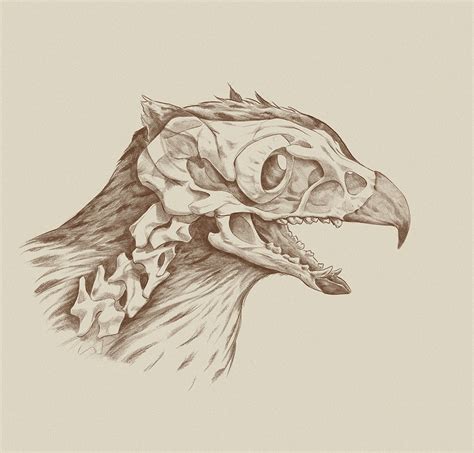 Anatomy of a Griffin (2014) on Behance