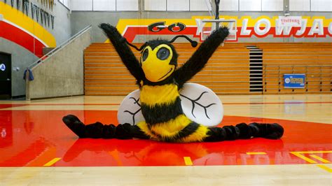 Beneath the Suit: BHS’s Beloved Mascot — Berkeley High Jacket