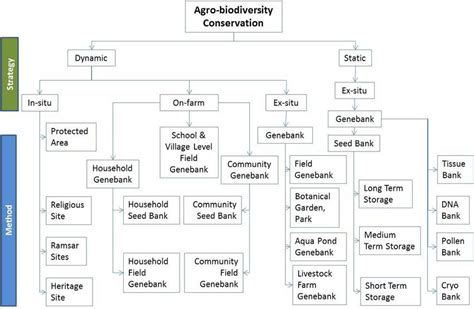 Agro-biodiversity conservation strategies and methods. Source: Joshi et ...