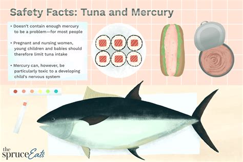 How Much Tuna Is Safe to Eat?