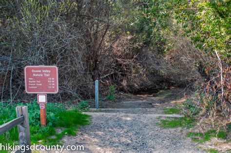 Doane Valley Nature Trail (Palomar Mountain State Park) - Hiking San ...