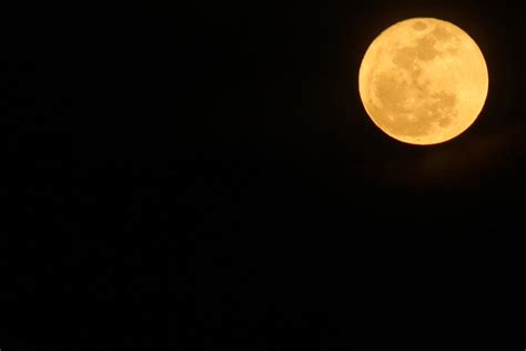 Yellow Moon by Rawpork77 on DeviantArt