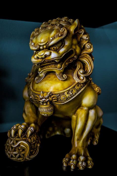 Shishi by Christian Purcell on 500px | Foo dog tattoo, Foo dog tattoo ...