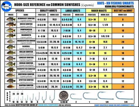 13+ Fish Hook Sizes Chart - RonanReagen