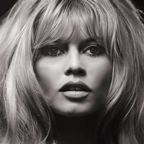 Brigitte Bardot's Instagram, Twitter & Facebook on IDCrawl