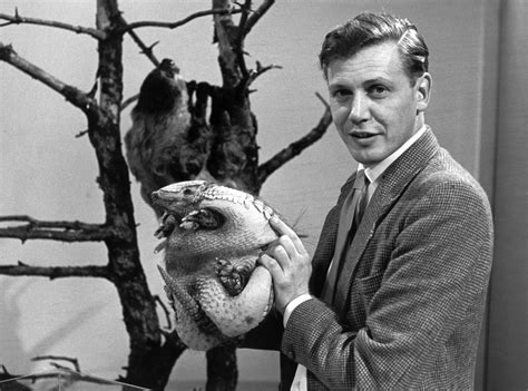 Here's a throwback to David Attenborough at the start of his career ...