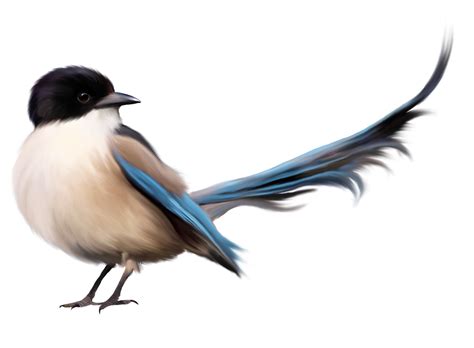 Bird PNG