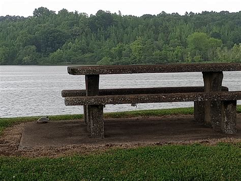 Cheatham Lake Dam & Lock | JocieMello | Flickr