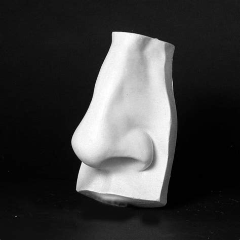 Items similar to Plaster Nose Cast Wall Sculpture on Etsy