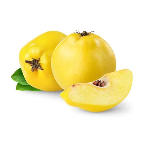 Buy Quince Fruit, Fresh | Fresh & Wild