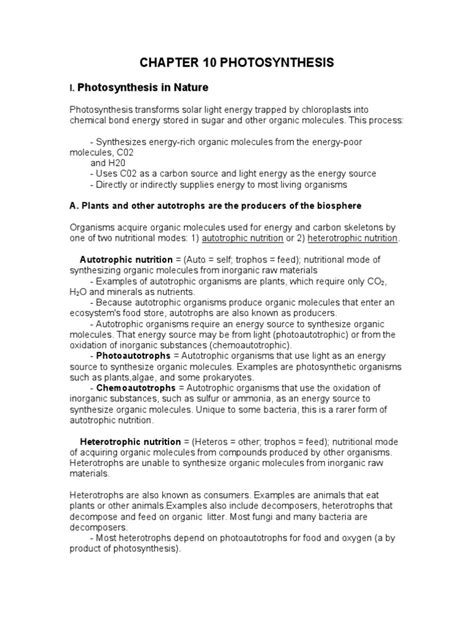 Chapter 10 Photosynthesis | PDF | Photosynthesis | Chlorophyll