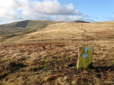 Life in the Preseli Hills: Preseli Hills