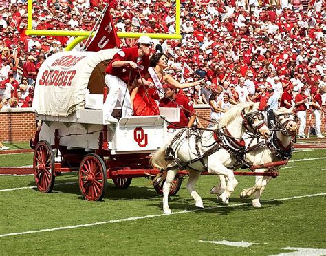 Oklahoma Football Mascot - Big 12 Football Online