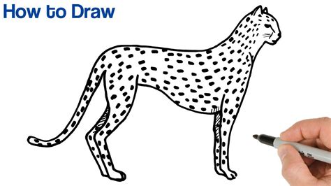 36 Kid-Friendly Tutorials for Drawing Animals