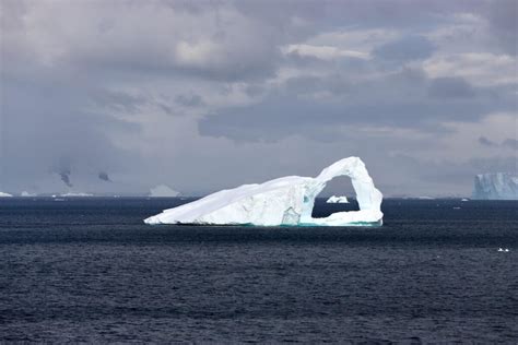 New life discovered in Antarctica