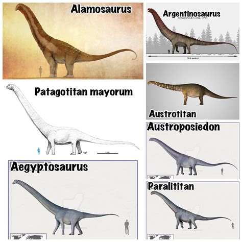 Titanosauria that could be in JWE2 : r/jurassicworldevo